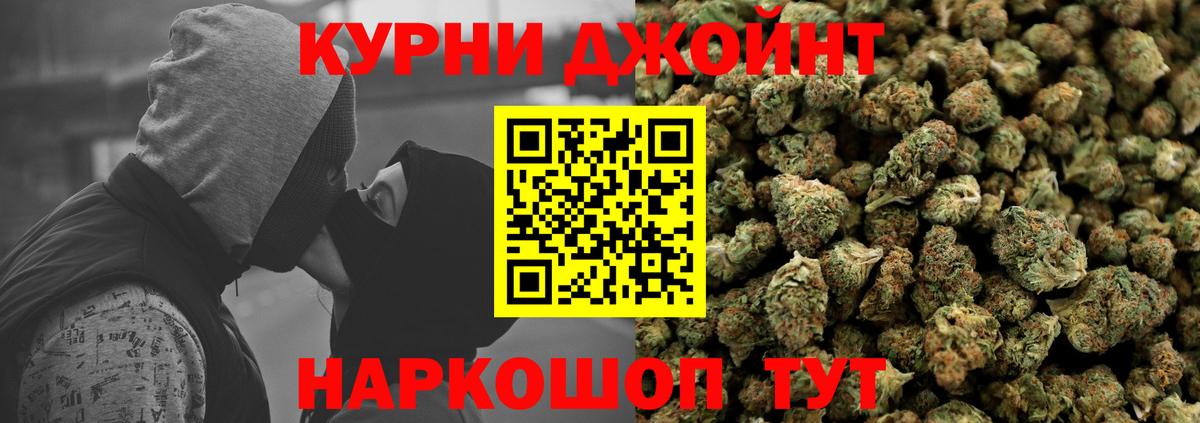 Горно-Алтайск  Конопля тримм  Вход с VPN  Марихуана семена  Марихуана индика  Конопля Bruce Banner 